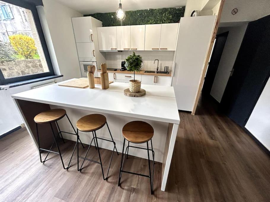 Le Puy En Velay - Appartement Grand Confort Екстер'єр фото