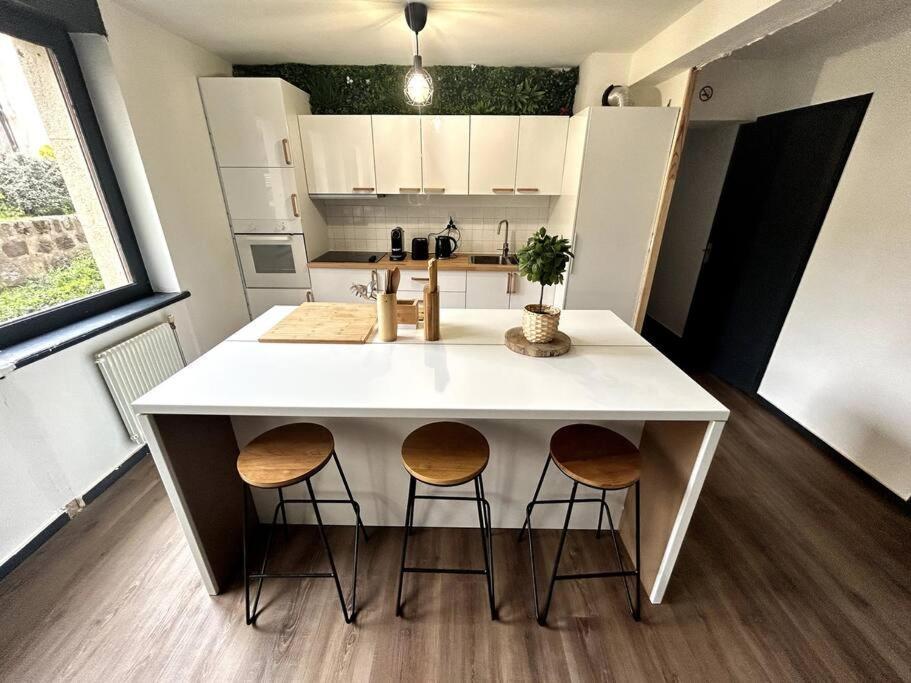 Le Puy En Velay - Appartement Grand Confort Екстер'єр фото
