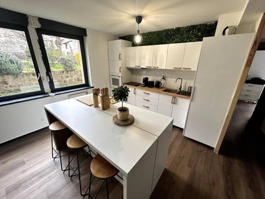 Le Puy En Velay - Appartement Grand Confort Екстер'єр фото