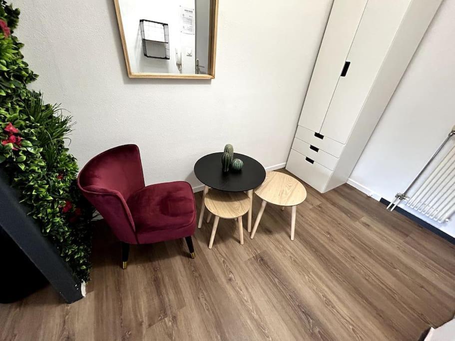 Le Puy En Velay - Appartement Grand Confort Екстер'єр фото